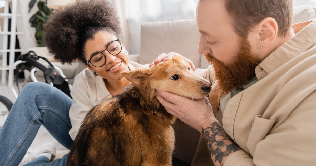Kasey McKillip Explains What First-Time Dog Adopters Should Know