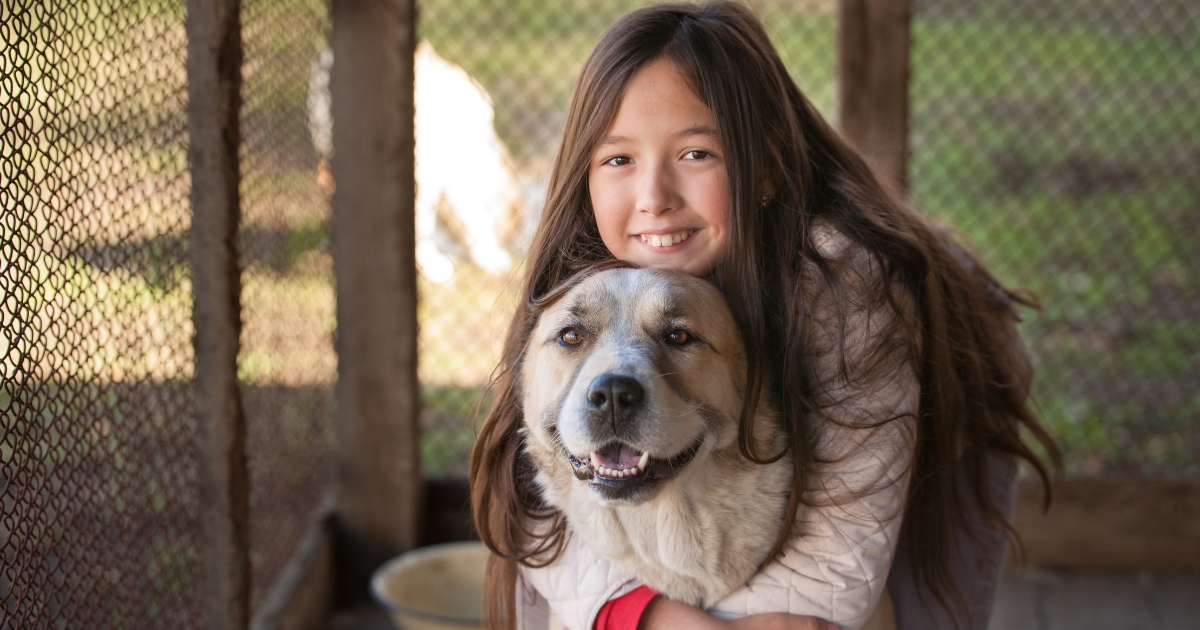 Kasey McKillip Explores How Rescue Stories Encourage Dog Adoption